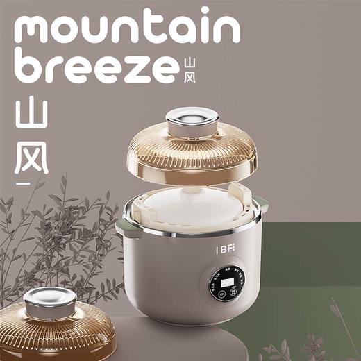 IBF艾博菲艾博菲山风侘寂膳养煲【K】 商品图1