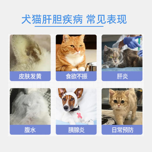 甘滋源复合肝胆胰酶颗粒 商品图1