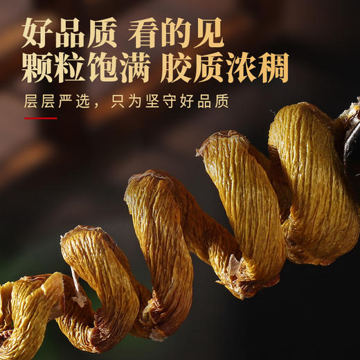 在菌屋 正宗霍山铁皮石斛100g/盒 甄选5年生石斛 胶质浓郁纤维少 商品图3