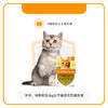 拜耳爱沃克猫咪驱虫药体内外一体驱虫滴剂海乐妙成幼猫除蜱虫耳螨 商品缩略图1