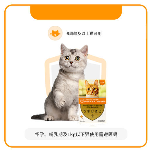 拜耳爱沃克猫咪驱虫药体内外一体驱虫滴剂海乐妙成幼猫除蜱虫耳螨 商品图1