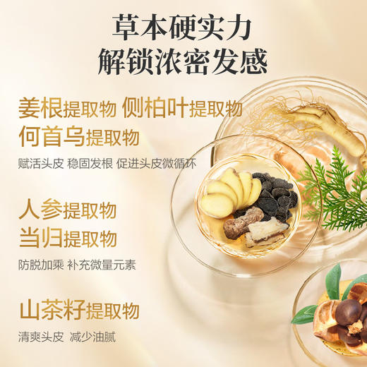 阿道夫防脱固发洗发水800g 强韧发丝稳固发根 含姜根何首乌侧柏叶人参提取物 商品图4