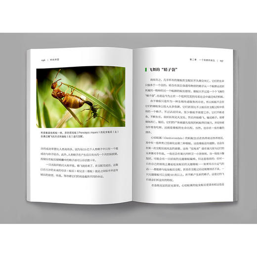 《蚂蚁帝国》 商品图3
