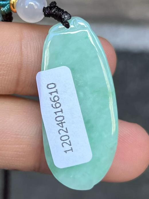 【云意轩翡翠】编号：6610 糯冰绿底翡翠福瓜  天然翡翠 附证书 商品图3