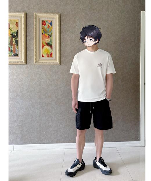 PLD新款徽章印花圆领短袖T 复古做旧印花标识 商品图6