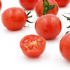 【会员16.5/斤】农夫天下爆汁玲珑小柿子 商品缩略图3