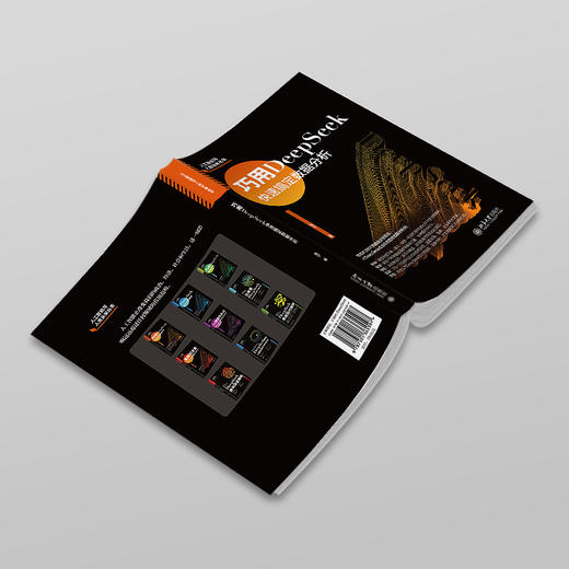 巧用DeepSeek快速搞定数据分析 朱宁 著 北京大学出版社 商品图2