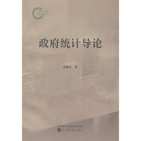 政府统计导论