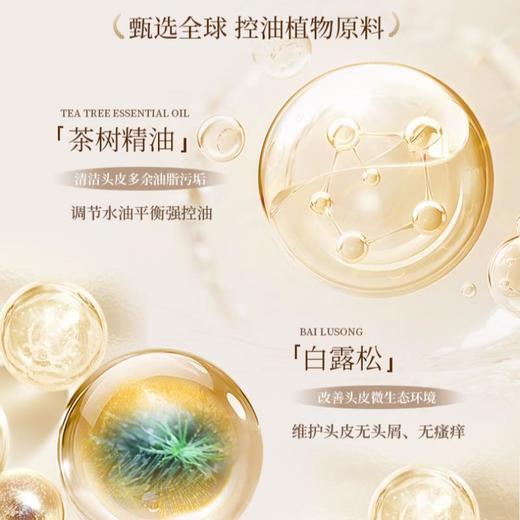 娜帕蒂卡 植萃控油去屑洗发水500ml 商品图2