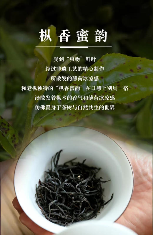红茶 | 中雄御品 ·虫吻·老枞红茶 30g/盒（5g*6泡） 商品图7