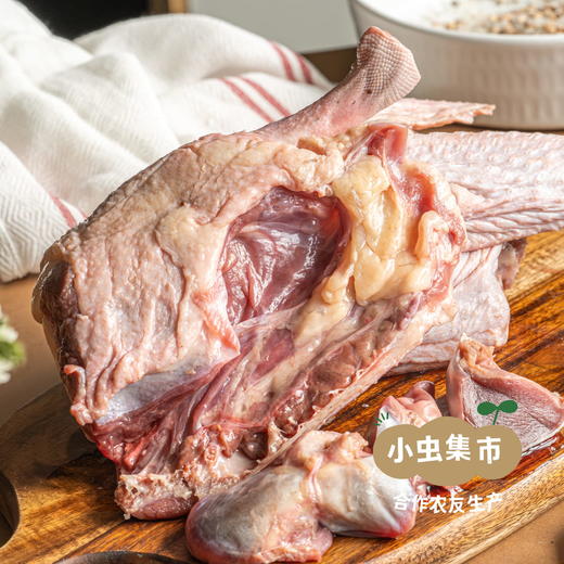 生态散养马岗鹅 | 合作农友生产，产自广州从化，生产者：郭锐 *【公平贸易农人定价】 商品图2