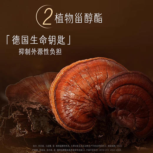 Swisse PLUS 胆固醇血管清畅片 商品图2