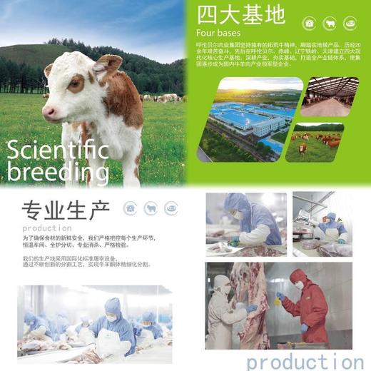 小岛牛肉丝 商品图6