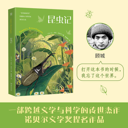 昆虫记 商品图2