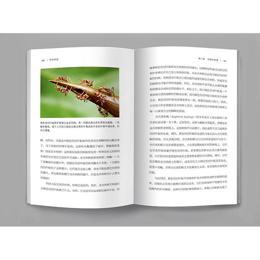 《蚂蚁帝国》 商品图8