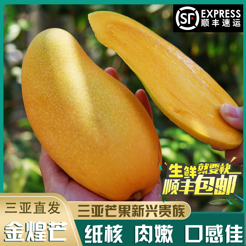 【甄选】【源产地直发】云南青皮香蕉/海南金煌芒 顺丰包邮