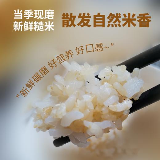 【有机糙米】可发芽新米低脂五谷杂粮粗粮全胚芽健身粳米轻食 商品图2