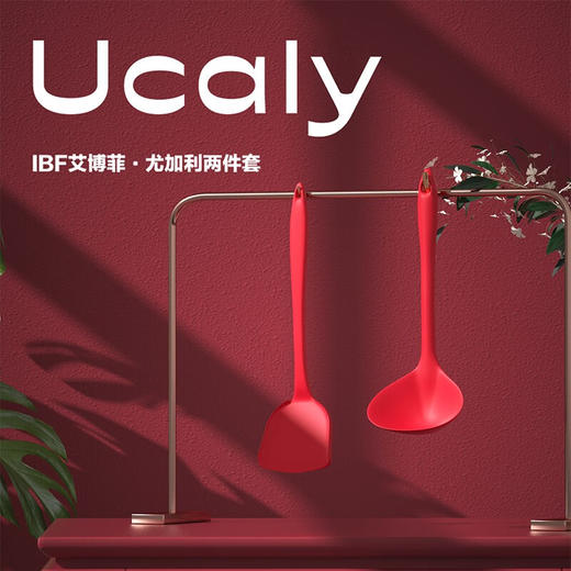 IBF艾博菲艾博菲尤加利·铲勺两件套【K】 商品图0