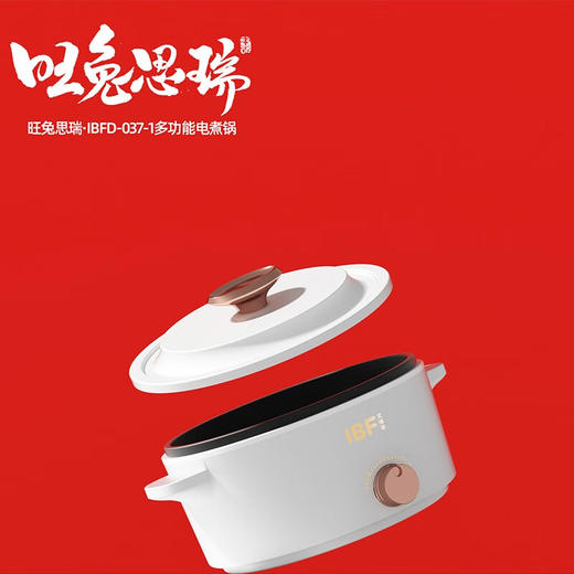 IBF艾博菲艾博菲（IBF）旺途思瑞·多功能锅【K】 商品图1