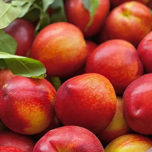 红油桃 约500g/盒 商品图4