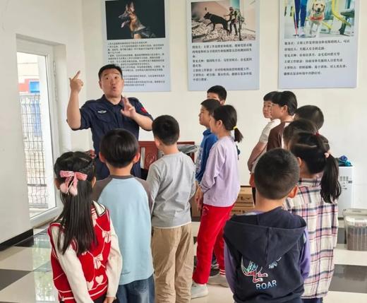 【3H工作时长】春节贺岁专场 · 给工作犬包饺子去！《工作犬少年驯导师》萌趣默契 ~ 喜迎吉年！ 商品图3