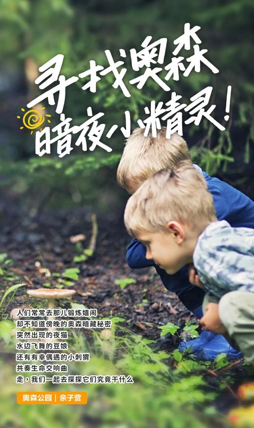 寻找奥森暗夜小精灵 商品图0