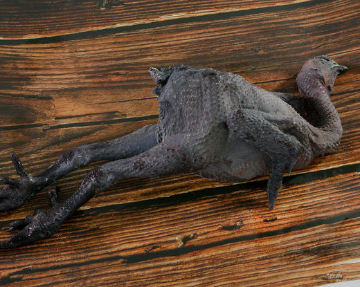 散养 乌鸡仔仔鸡 童子鸡 75-95日龄不低于650克 商品图3