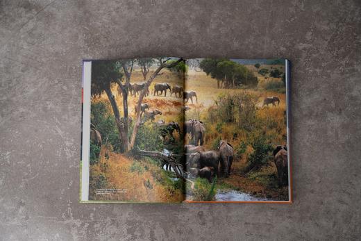 国家公园 | “美丽的地球” 系列重磅新书，特别邀请《中国国家地理》杂志资深作者参与创作，收录中国五大国家公园，精选呈现全球 56 个国家公园 商品图7