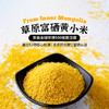 皇栖谷富栖黄小米扎赉特旗产浓稠辅食金黄米粥 商品缩略图0