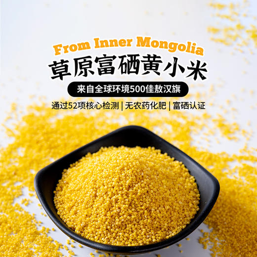 皇栖谷富栖黄小米扎赉特旗产浓稠辅食金黄米粥 商品图0