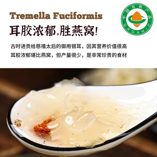 四川通江有机椴木银耳 小朵易泡发出胶 40g/罐 商品图4