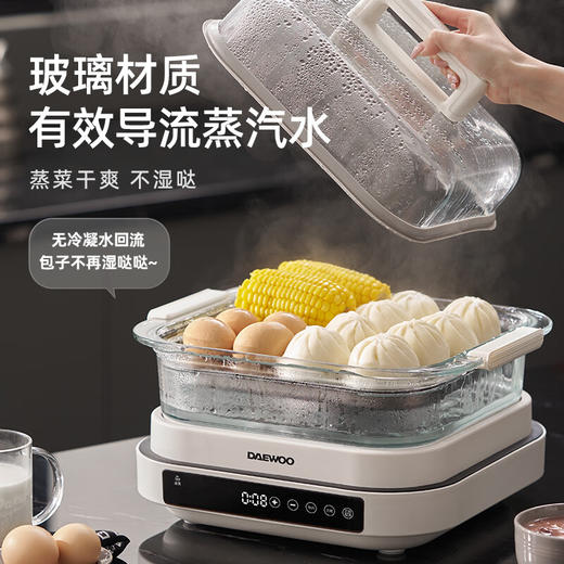 大宇多功能蒸炖料理锅S31 商品图6