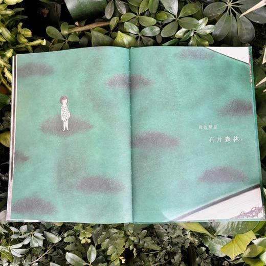 神秘岛  我的眼里有片森林   刘奔 著  薛紫琼 绘  荣获2021BIBF菠萝圈儿国际插画奖“中国原创奖” 商品图5