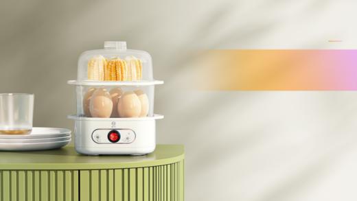 扬子 ZDQ-200蒸蛋器 商品图0