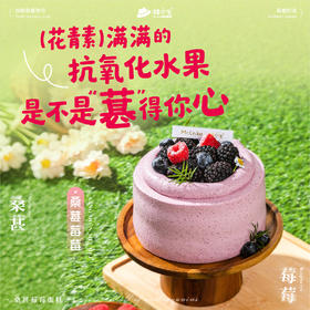 新品-桑葚莓莓半糖蛋糕