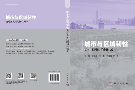 城市与区域韧性——应对多风险的韧性城市 商品图3