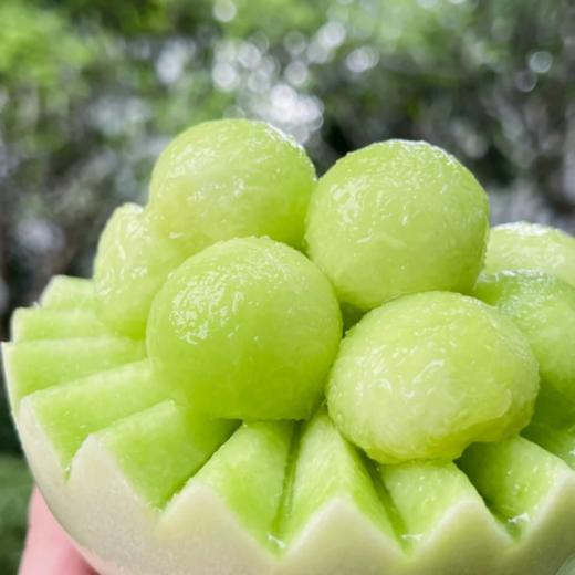 玉菇冰淇淋甜瓜 商品图3