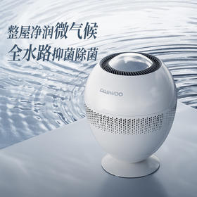 大宇小巨蛋无雾加湿器