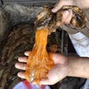 【都市惠独家】滋补佳品海参卵 被誉为海参皇后 商品缩略图2