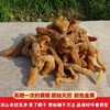 野生鸡头黄精  //  58元一斤包邮  //  明月 商品缩略图1