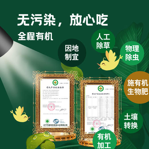 凤禾鸣·有机三色藜麦内蒙古高原产膳食营养健身主食 商品图4