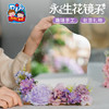 母亲节礼物永生花镜子手工diy儿童材料包干花化妆镜团建暖场活动 商品缩略图2