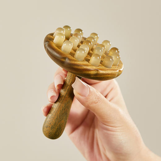 初心| 莲蓬经络刷绿檀羊角 商品图2