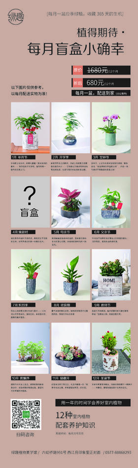 植得期待·一年变成绿植养护大人
