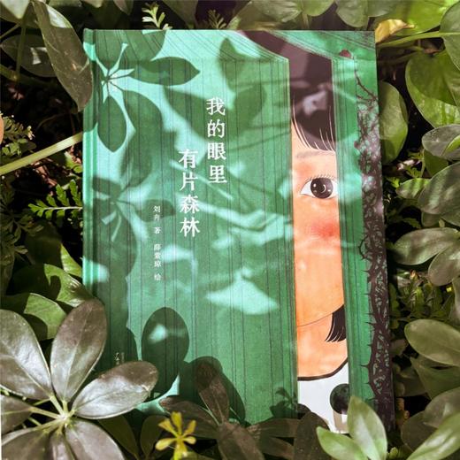神秘岛  我的眼里有片森林   刘奔 著  薛紫琼 绘  荣获2021BIBF菠萝圈儿国际插画奖“中国原创奖” 商品图4