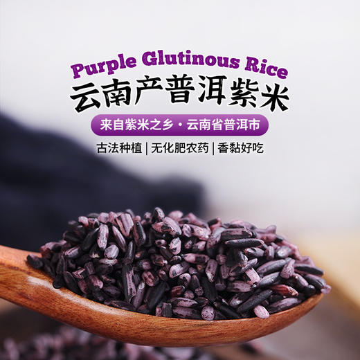 【普洱紫米】普洱紫米不染色头道紫米碎米少紫米露1kg 商品图0