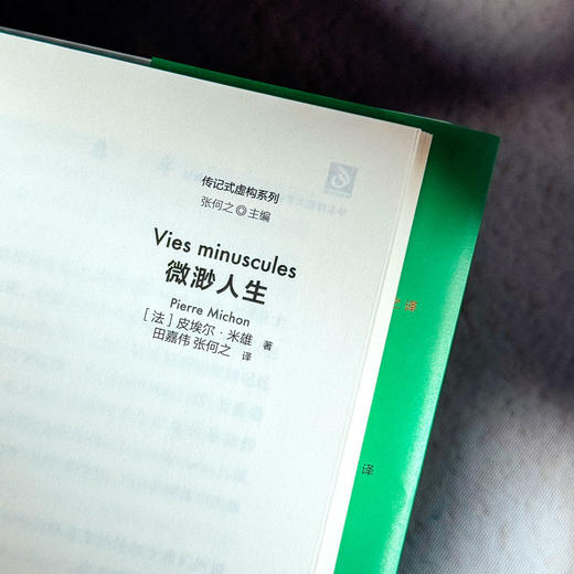 微渺人生 传记式虚构系列 皮埃尔·米雄成名作 法国文学 六点图书 商品图5