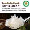 四川通江有机椴木银耳 小朵易泡发出胶 40g/罐 商品缩略图2