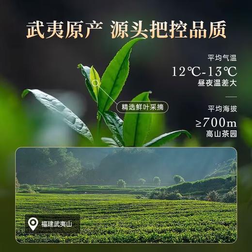 华祥苑 大圆罐 大红袍 武夷山 岩茶 茶叶 罐装250g 商品图3