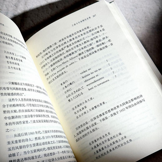 兰波与现代性 李建英 解读超现实主义诗歌鼻祖法国著名诗人兰波 六点图书 商品图12